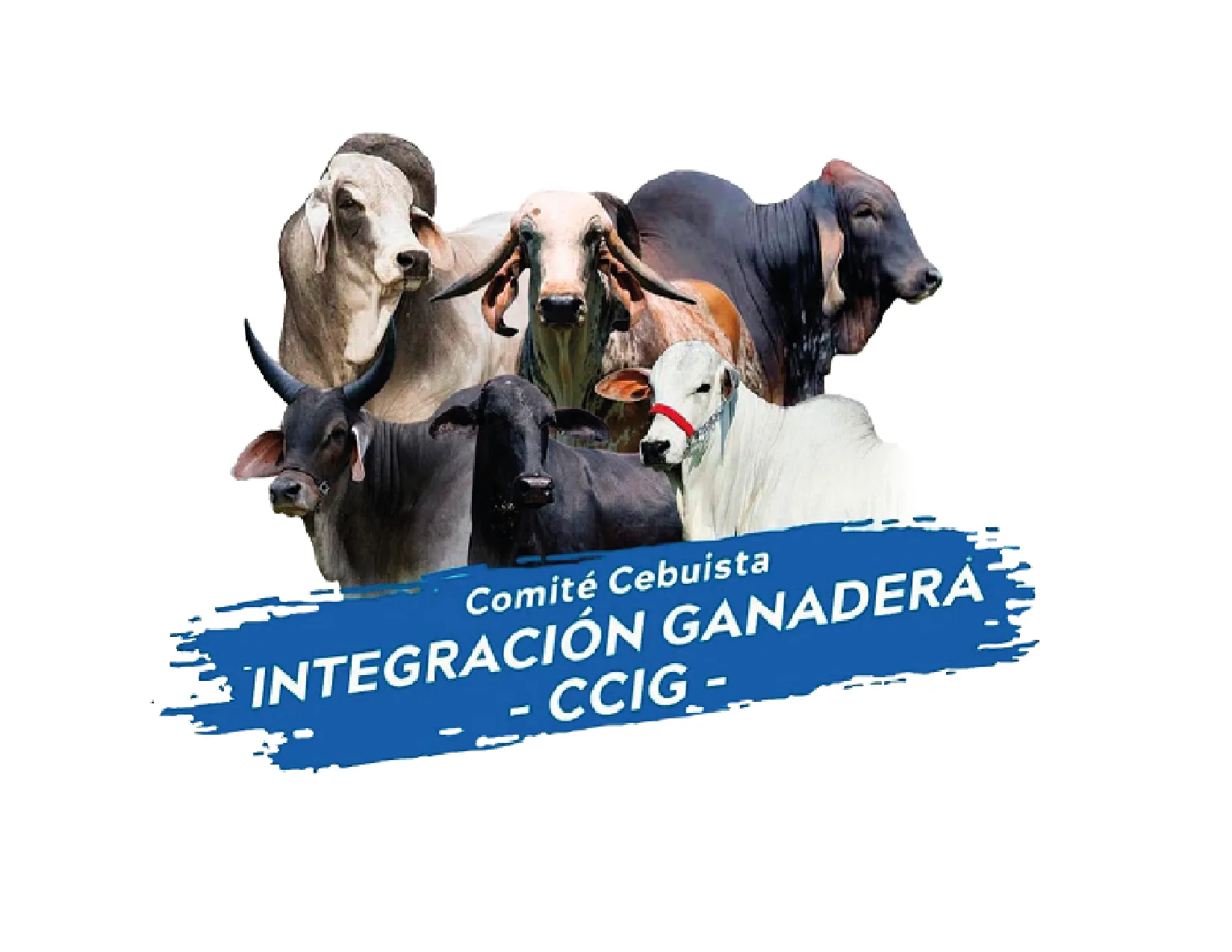 Integración ganadera